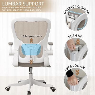 Escritorio y silla de oficina con soporte lumbar