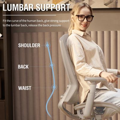 Apoyo lumbar ajustable reposabrazos de malla silla de oficina silla de trabajo resistente con espalda sólida